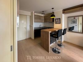 1 Bedroom Condo for rent in Peru, Surquillo, Lima, Lima, Peru