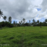  Land for sale in El Nido, Mimaropa, El Nido, Palawan, Mimaropa