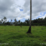  Land for sale in El Nido, Mimaropa, El Nido, Palawan, Mimaropa