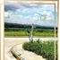 Terrain à vendre à Marikina City, Metro Manila, Marikina City