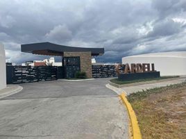  Terreno (Parcela) en venta en San Agustin Tlaxiaca, Hidalgo, San Agustin Tlaxiaca