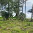  Land for sale in Puerto Princesa City, Mimaropa, Puerto Princesa City, Palawan, Mimaropa
