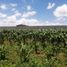  Land for sale in Atotonilco El Grande, Hidalgo, Atotonilco El Grande