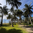 Land for sale in Puerto Princesa City, Mimaropa, Puerto Princesa City, Palawan, Mimaropa
