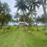  Land for sale in Puerto Princesa City, Mimaropa, Puerto Princesa City, Palawan, Mimaropa