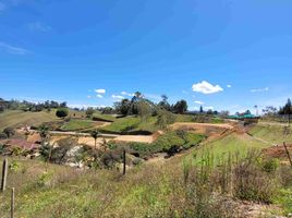  Grundstück zu verkaufen in Rionegro, Antioquia, Rionegro, Antioquia, Kolumbien