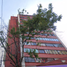Condominium 3 chambre à vendre à Alvaro Obregon, Mexico City, Alvaro Obregon