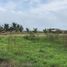  Land for sale in Montecristi, Manabi, Montecristi, Montecristi