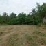  Land for sale in Portoviejo, Manabi, Portoviejo, Portoviejo