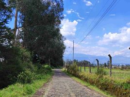  Land for sale in Checa Chilpa, Quito, Checa Chilpa