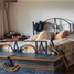 5 Schlafzimmer Villa zu verkaufen in Alvaro Obregon, Mexico City, Alvaro Obregon, Mexico City, Mexiko