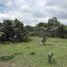  Land for sale in Ajacuba, Hidalgo, Ajacuba