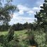  Land for sale in Ajacuba, Hidalgo, Ajacuba