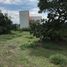  Land for sale in Ajacuba, Hidalgo, Ajacuba
