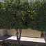 4 Bedroom House for sale in La Paz Baja California Sur, La Paz, Baja California Sur