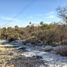  Land for sale in Tzicatlacoyan, Puebla, Tzicatlacoyan