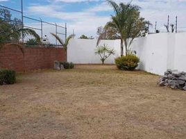  Terreno (Parcela) en venta en San Agustin Tlaxiaca, Hidalgo, San Agustin Tlaxiaca
