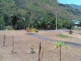  Terreno (Parcela) en venta en Peñaherrera, Cotacachi, Peñaherrera