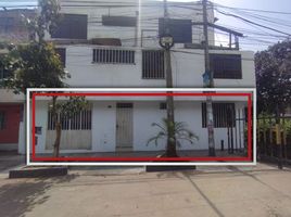 3 Schlafzimmer Appartement zu verkaufen in Los Olivos, Lima, Los Olivos, Lima, Lima