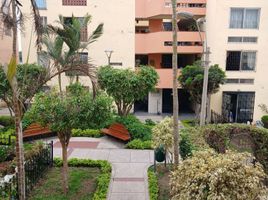 3 chambre Appartement for sale in San Luis, Lima, San Luis