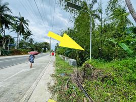  Grundstück zu verkaufen in Leyte, Eastern Visayas, Babatngon, Leyte