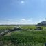  Terreno (Parcela) en venta en Taytay, Calabarzon, Taytay