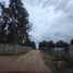 Terreno (Parcela) en venta en Maule, San Javier, Linares, Maule