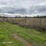  Terreno (Parcela) en venta en Maule, San Javier, Linares, Maule
