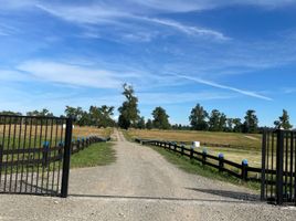  Terreno (Parcela) en venta en Purranque, Osorno, Purranque