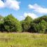  Land for sale in Mineral Del Chico, Hidalgo, Mineral Del Chico