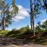  Land for sale in Mineral Del Chico, Hidalgo, Mineral Del Chico