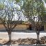4 Bedroom House for sale in Cuautla, Morelos, Cuautla