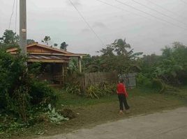 2 Schlafzimmer Villa zu verkaufen in Bohol, Central Visayas, Balilihan, Bohol