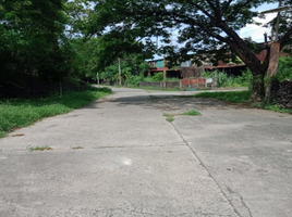  Land for rent in Rizal, Calabarzon, Cainta, Rizal