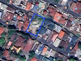  Terrain for sale in Pateros, Southern District, Pateros