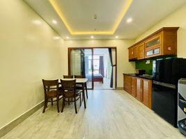 1 Phòng ngủ Căn hộ for rent in Da Nang International Airport, Hòa Thuận Tây, Mỹ An