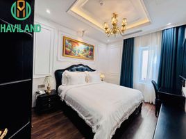 1 Phòng ngủ Căn hộ for rent in My Khe Beach, Mỹ An, Khuê Mỹ