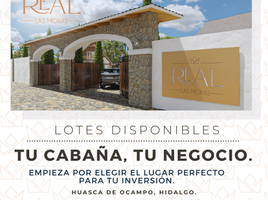  Terreno (Parcela) en venta en Omitlan De Juarez, Hidalgo, Omitlan De Juarez