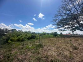  Terreno (Parcela) en venta en Pereira, Risaralda, Pereira