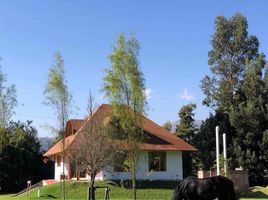  House for sale in San Pablo, Otavalo, San Pablo