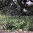  Land for sale in Cuernavaca, Morelos, Cuernavaca