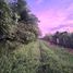  Land for rent in Compostela, Nayarit, Compostela
