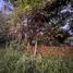  Terreno (Parcela) en alquiler en Compostela, Nayarit, Compostela