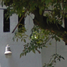 4 Habitación Casa en venta en Benito Juarez, Ciudad de México, Benito Juarez