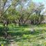  Land for sale in Neuquen, Lacar, Neuquen