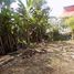  Land for sale in Cuetzalan Del Progreso, Puebla, Cuetzalan Del Progreso