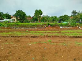 2 Schlafzimmer Haus zu verkaufen in Banyumas, Jawa Tengah, Purwokerto Timur, Banyumas