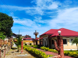  Terrain for sale in Toledo City, Cebu, Toledo City