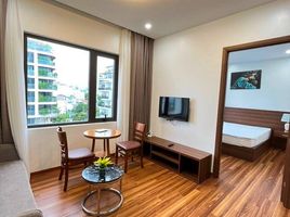 1 Phòng ngủ Chung cư for rent in Sơn Trà, Đà Nẵng, Thọ Quang, Sơn Trà