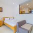 1 Bedroom Condo for rent in My An, Da Nang, My An, Ngu Hanh Son